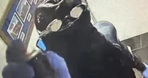 Man in scuba gear suspected of robbing Disney Springs restaurant 