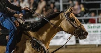 Teen horse competitor accused of hurting animals during Las Vegas event
