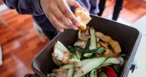 The best compost bins, according to gardening experts
