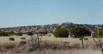 New Mexico lawmakers to blast out subpoenas in Epstein investigation