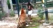 N.J. woman accused of climbing over zoo fence is charged after close call with tiger 