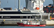 What is the Andes virus? The hantavirus linked to a cruise ship outbreak is the most deadly strain