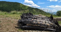 A chunk of space debris found in N.C. came from a SpaceX capsule, NASA says