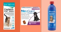 Fleas are every pet parent’s worst nightmare – here’s how to get rid of them