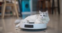 Tired of stubborn pet hair? Make sure you’re using the right vacuum