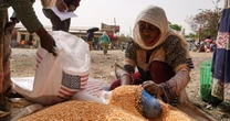 USAID cuts could lead to 14 million deaths over the next five years, researchers say
