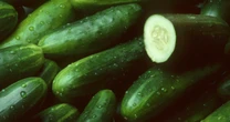 FDA recalls cucumbers due to multistate Salmonella outbreak sickening over 20 people
