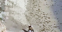 Video shows stranded kite surfer using rocks to spell out 'HELP' on California beach