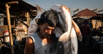 Photo essay: Southeast Asia's overfishing crisis — and the effort to uncover its roots
