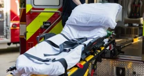 More elderly Americans are choking to death. Are these devices the answer?