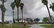 3 dogs kill their owner and injure a bystander at a San Diego park