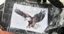 Boater finds $1 million worth of cocaine with bald eagles on it floating in Florida Keys