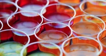 Pennsylvania kindergartener shares Jell-O shots with classmates, school says 