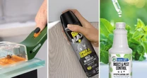 How to get rid of spiders without getting squeamish (maybe)