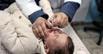 Israel, Hamas agree to zoned three-day pauses for Gaza polio vaccinations, WHO says