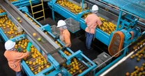 Orange juice importer says Brazil tariffs will squeeze American consumers
