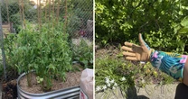 Everything you need to start your garden this spring