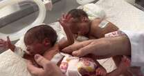 Rafah's Emirati Hospital sees rise in premature births and underweight neonates