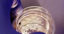 NBC News tracks errors at fertility clinics nationwide