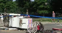 Horse carriage tragedy in NYC’s Central Park