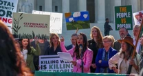 Some in MAHA movement express frustration over Supreme Court ruling on Roundup weed killer
