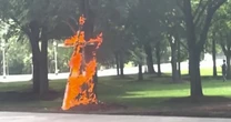 Alarming video of cross burning in Chicago