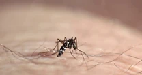 Man in Colorado hospitalized with West Nile virus as more cases reported