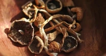 FDA grants quick review for 3 psychedelic drug trials