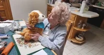 How 'Age Tech' might help you grow old at home and with more ease