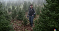 Good News: White House Christmas tree comes from North Carolina area hit hard by hurricane