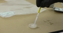 Despite testing, fentanyl is often undetected in illicit drugs