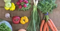 Fresh produce program helps promote better health in food-insecure communities