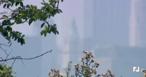 100 million Americans facing dangerous wildfire smoke