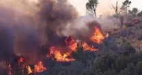 As Sicily battles wildfires, its history of Mafia sparking flames comes into focus