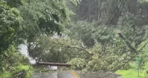 Millions across the Northeast cleaning up