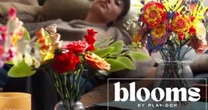 Hasbro launches floral Play-doh for adults seeking hands-on hobbies and nostalgia