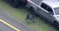 Massachusetts state police use robotic dog and drone in highway standoff