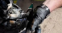 Couple snags safe containing an estimated $80k while magnet fishing