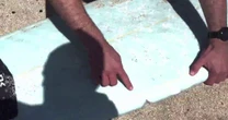 Shark bites surfer's board, triggering closure at California beach