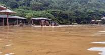 Video shows elephants escaping floods in Thailand