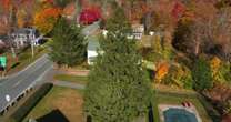 Good News: Rockefeller Center Christmas tree a tribute to woman who planted it decades ago