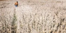 White farmer wins temporary halt to program for Black counterparts