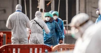 How Health Officials Are Working to Contain the Hantavirus