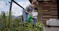Tips for Outdoor Summer Fun: Nature Experiences, Freebies, More