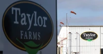 Taylor Farms Lettuce Test for Cyclospora Was False Positive: FDA
