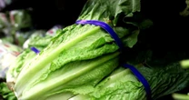 Officials Warn Stomach Bug Outbreak Could Last Through Summer