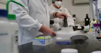 FDA Moves to Fast-Track Three Psychedelic Drugs for Review