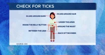How to protect yourself from the heat, ticks, more this summer