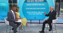 How to Treat and Prevent Tick, Mosquito, Ant and Other Bug Bites