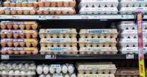 Trader Joe's, Costco, other retailers put limit on egg purchases